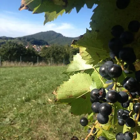 Casa Anna Appartamento Bad Gleichenberg