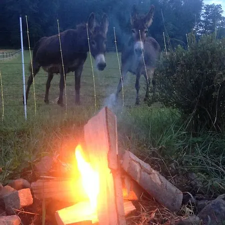 Casa Anna Διαμέρισμα *