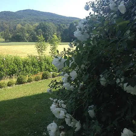 Casa Anna * Bad Gleichenberg