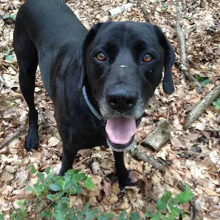 Casa Anna Bad Gleichenberg