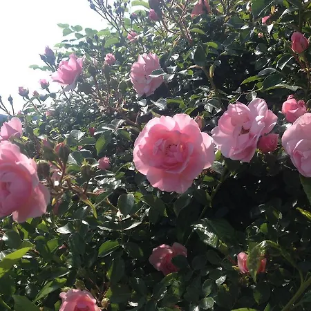 Casa Anna Διαμέρισμα