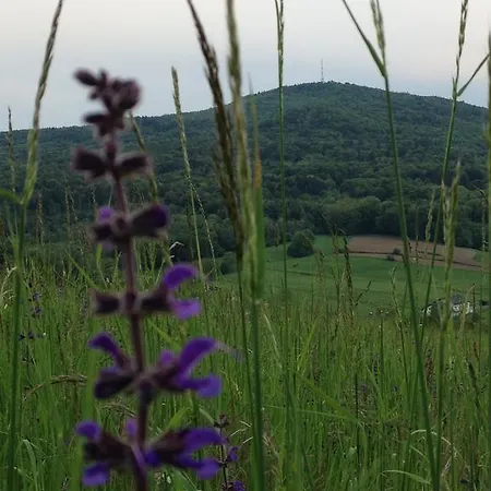 Casa Anna Apartmán *