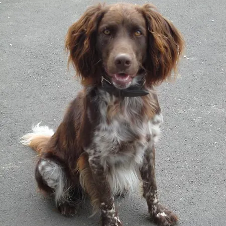 Appartamento Casa Anna