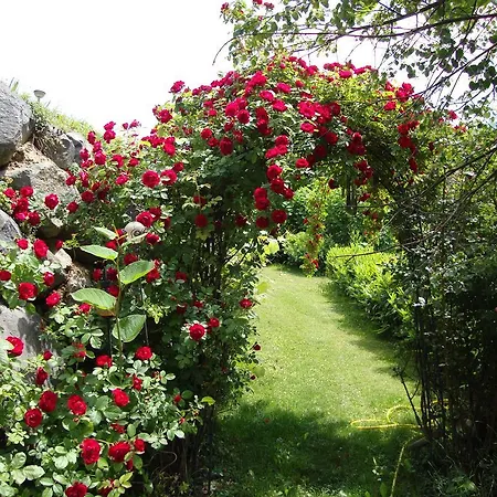 Appartamento Casa Anna