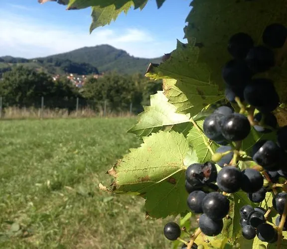 Casa Anna شقة باد غليشنبرج