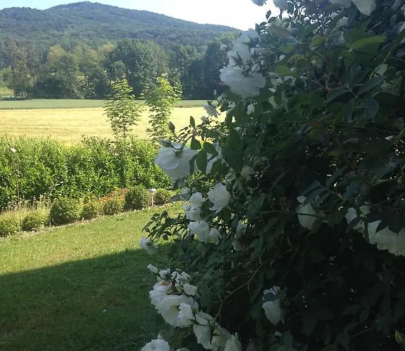 Casa Anna * باد غليشنبرج