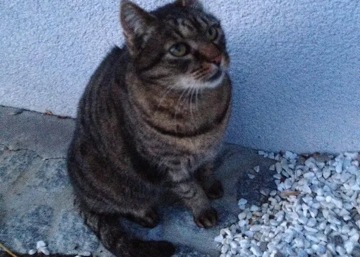 Casa Anna شقة باد غليشنبرج