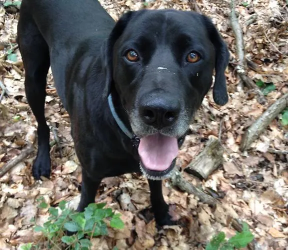 Casa Anna باد غليشنبرج