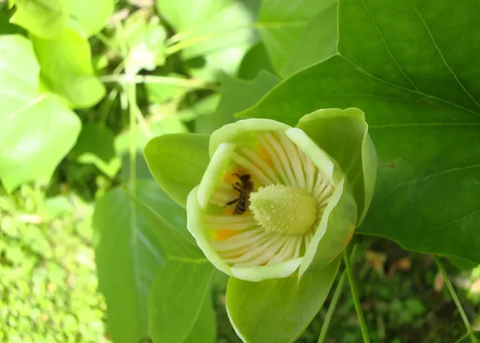 شقة Casa Anna باد غليشنبرج